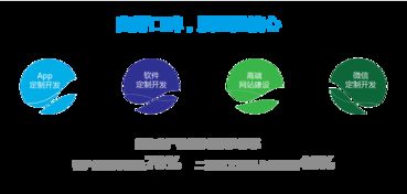 豆子信息技术 引领数字化未来的技术服务与软件开发
