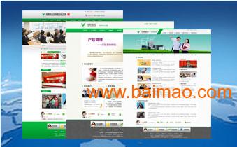 网站制作哪里效果好 生产厂家、价格、技术服务与软件开发全方位解析